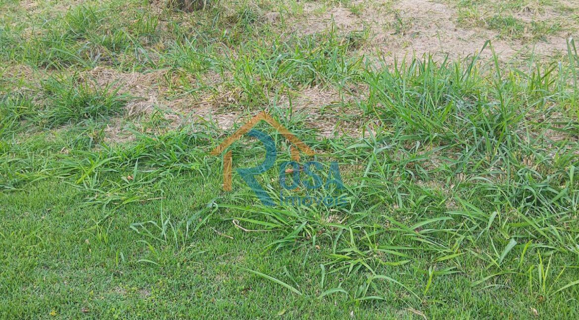 d08950a5-b070-4c74-bd2a-3b3a9bbc3ffc