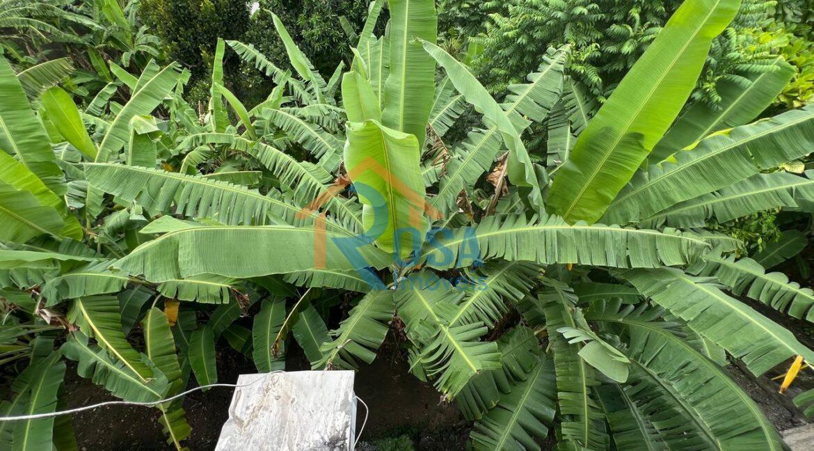 WhatsApp Image 2025-01-15 at 16.06.29 (7)