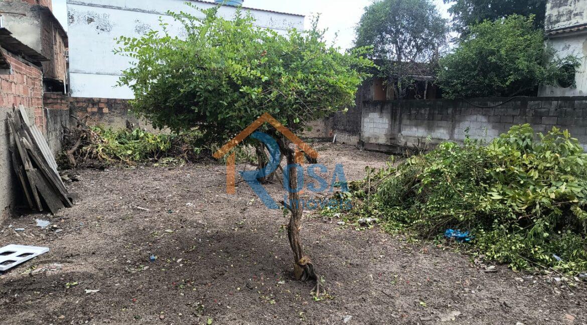 WhatsApp Image 2026-01-25 at 15.10.01