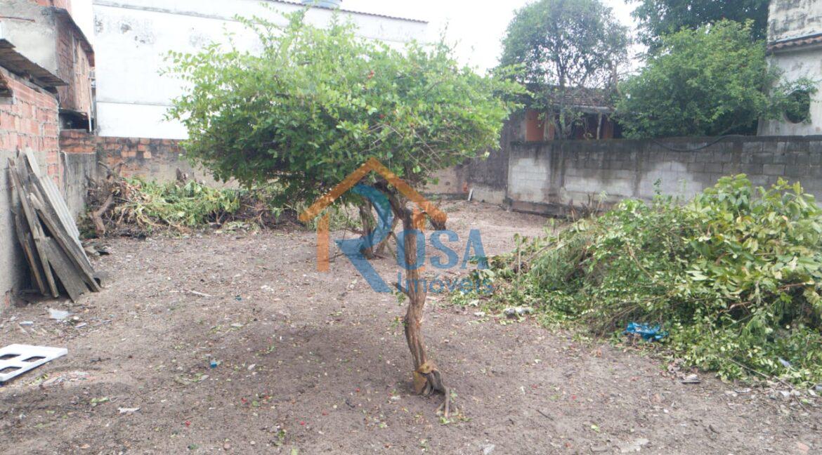 WhatsApp Image 2026-01-25 at 15.10.02